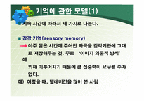 [심리학] 단기 기억과 장기 기억-4