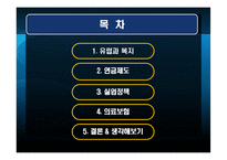 [유럽정치론] 유럽국가의 복지 -연금,실업,의료제도를 중심으로-2