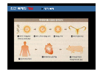 인간복제 레포트-10