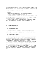 [정보사회] 사이버리터러시(Cyberliteracy)-4
