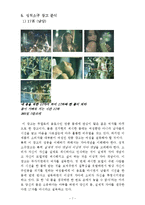 [광고학] 성적소구과 성적소구광고-7