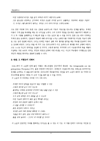 [독일문학사] 유태인의 너도밤나무 Die Judenbuche(안네테 폰 드로스테-휠스호프)-4