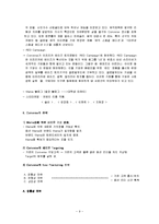 [마케팅] [마케팅]컨버스(Converse) 마케팅전략 및 성공요인 분석(A+리포트)-9