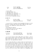 [마케팅] [마케팅]컨버스(Converse) 마케팅전략 및 성공요인 분석(A+리포트)-10