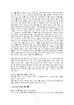 [마케팅] [마케팅]컨버스(Converse) 마케팅전략 및 성공요인 분석(A+리포트)-11