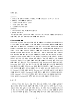 [마케팅] [마케팅]컨버스(Converse) 마케팅전략 및 성공요인 분석(A+리포트)-12