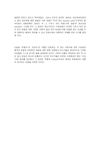 문화사의 의미 레포트-2