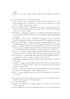 방송 언어에서 외래어의 남용과 오용-8