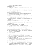 이스라엘 세계 식물보호학회 논문발표 및 학회참석-8