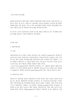 페미니즘과 광고(소비문화의 관점에서)-2
