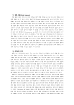 한국의 초등학교 수학수업의 특징-11