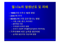 [환경]환경과 인류 엘니뇨에 관한 hand out-5