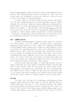 [보고서] 교환학생 귀국 보고서-2