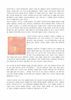 [보고서] 어어부밴드에 대해...-2