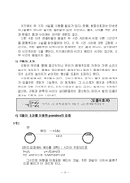 [자연] 트윈 파라독스-12