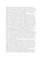 가다머의 언어관-2