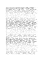 가다머의 언어관-11