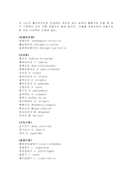 강화도에 도래하는 조류(철새)-5