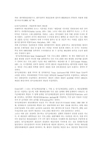 공공부문의 생산성과 전략적 예산개혁방향에 관한 연구-9