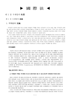 국제법 케이스 레포트-1