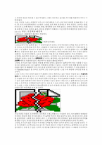 멀티미디어 자료 편집 과정-7