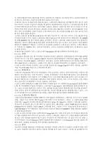 멀티미디어 자료 편집 과정-13