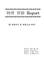 물 파동에서 빛 파동으로 예비-1