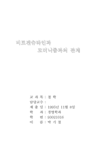 비트겐슈타인과 모더니즘과의 관계-7