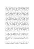 비트겐슈타인의 말놀이 이전의 반례들-5