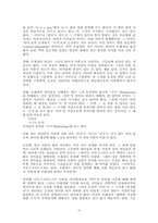 비트겐슈타인의 말놀이 이전의 반례들-6