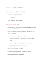 생태계 내에서 인(P)의 순환-5