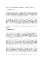 소니의 미국진출과정-8