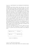 승기를 잡는 새로운 마케팅 전략-5