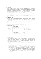 원핵세포와 진핵세포 염색법-2