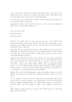 인터네트의 미래와 초고속전산망-6