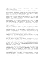 인터네트의 미래와 초고속전산망-7