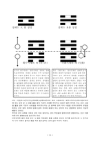 장부성리에 의한 8가지 양식의 체질 Ⅱ-18