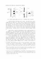 전자기학 1장 레포트-13