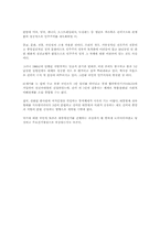 97년 대통령선거와 권력구조에 관한 논의-8