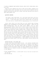 호르바트의 민중극 쇄신-비엔나 숲 속의 이야기-6