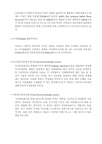 CDMA Code Division Multiple Access-4