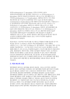 광합성 암반응 레포트-3