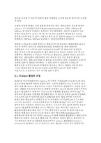 광합성 암반응 레포트-4