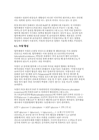 광합성 암반응 레포트-13