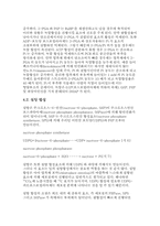광합성 암반응 레포트-14