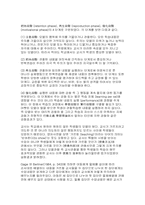 국민학교(초등학교) 교사의 부적절한 교실용어 분석-11