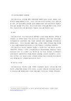 [인터넷마케팅]인터넷을 통한 보험산업의 현황과 전망-10