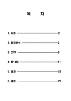 [마케팅]르노 삼성 SM5 자동차 마케팅전략 분석-2