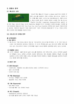 [마케팅성공사례]T.G.I Friday`s 마케팅전략 사례 분석-10