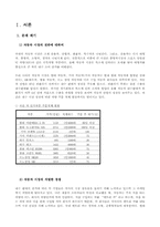 [마케팅]르노 삼성자동차 SM3 마케팅전략-3
